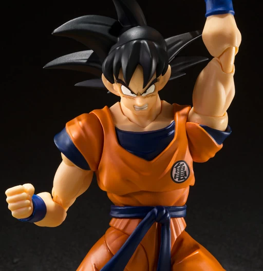 Son Goku ‘The lowest born Saiyan’