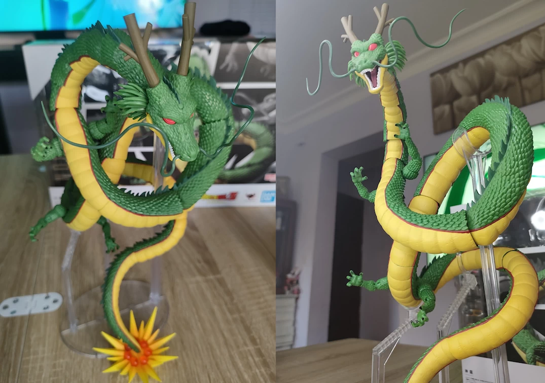 SHF de Shenron