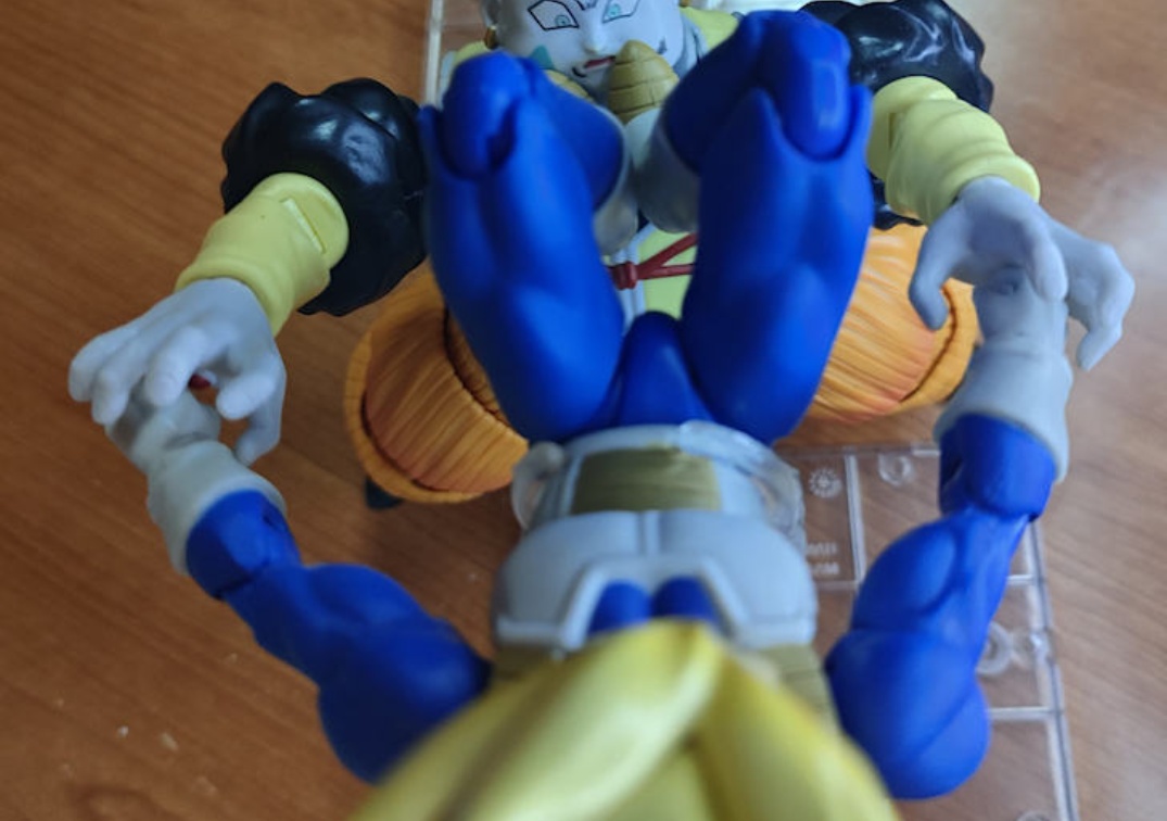Foto posando del SHF de Android 19 2023 VS Vegeta SSJ del 2023