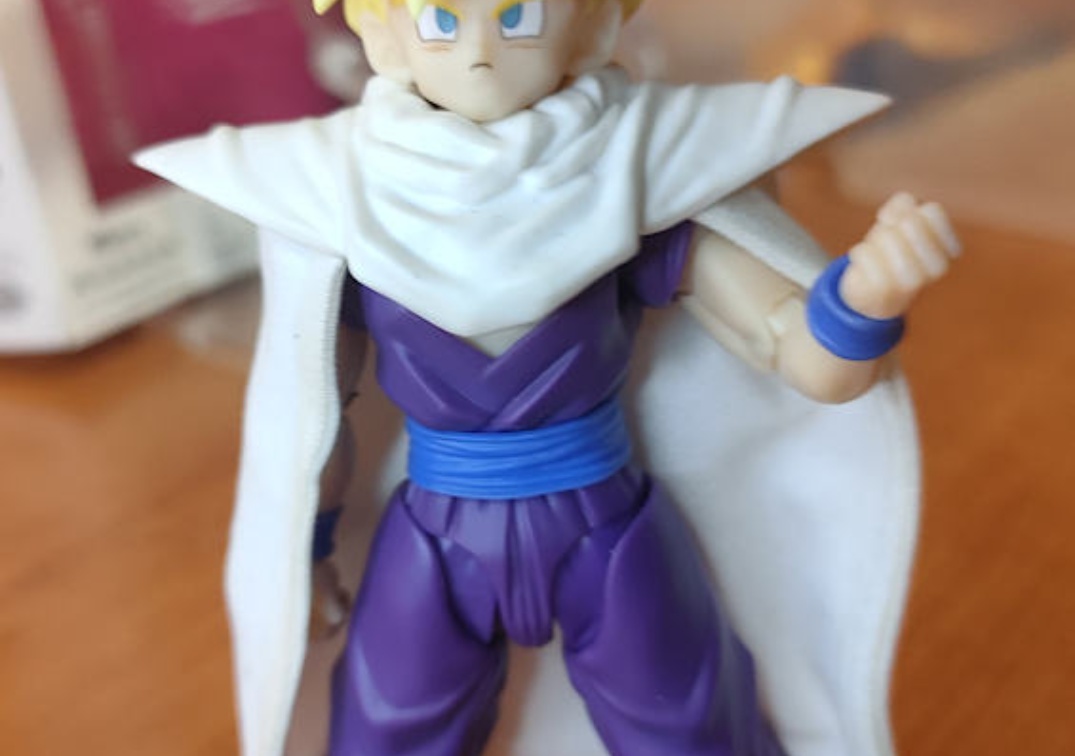 Foto posando del SHF de SSJ Gohan 'The fighter who surpassed Goku' 2024