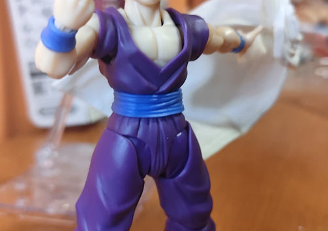 Foto posando del SHF de SSJ Gohan 'The fighter who surpassed Goku' 2024