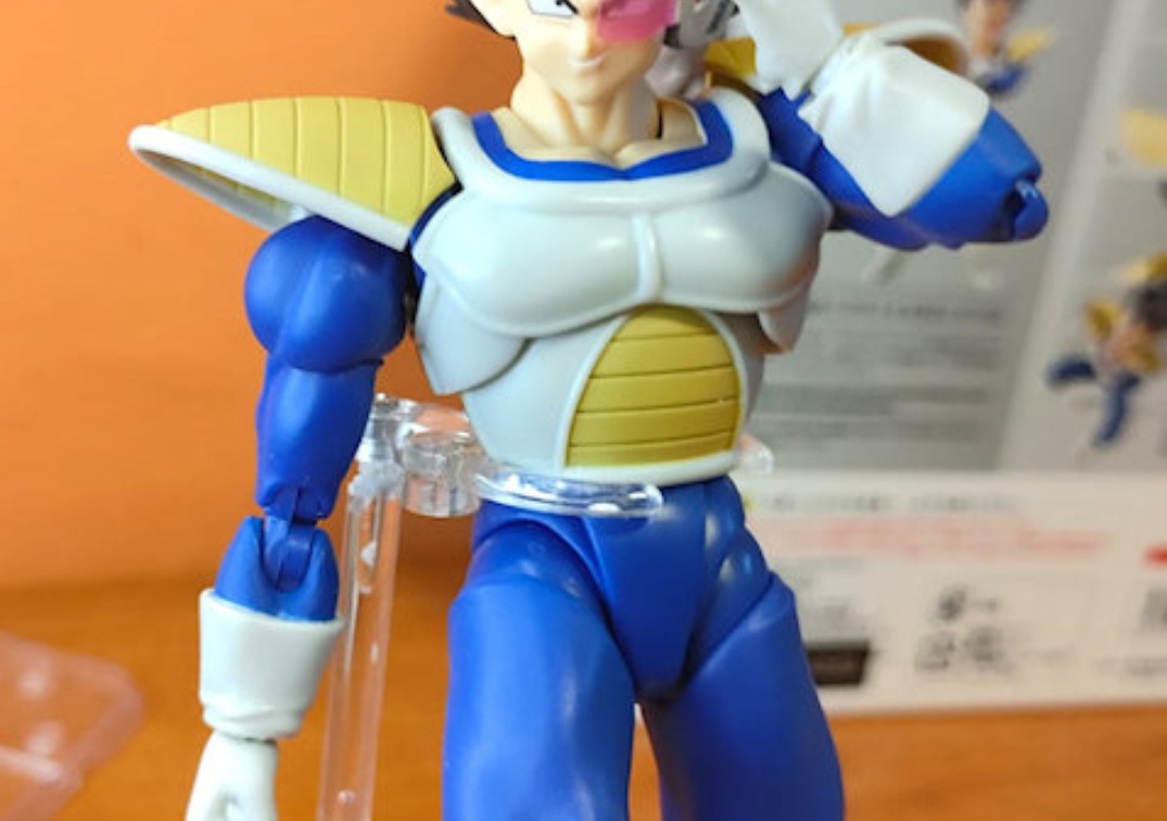 Foto posando del SHF de Vegeta ‘24000 Power level’ 2024