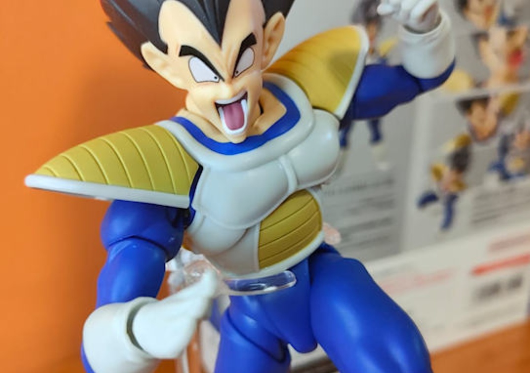 Foto posando del SHF de Vegeta ‘24000 Power level’ 2024