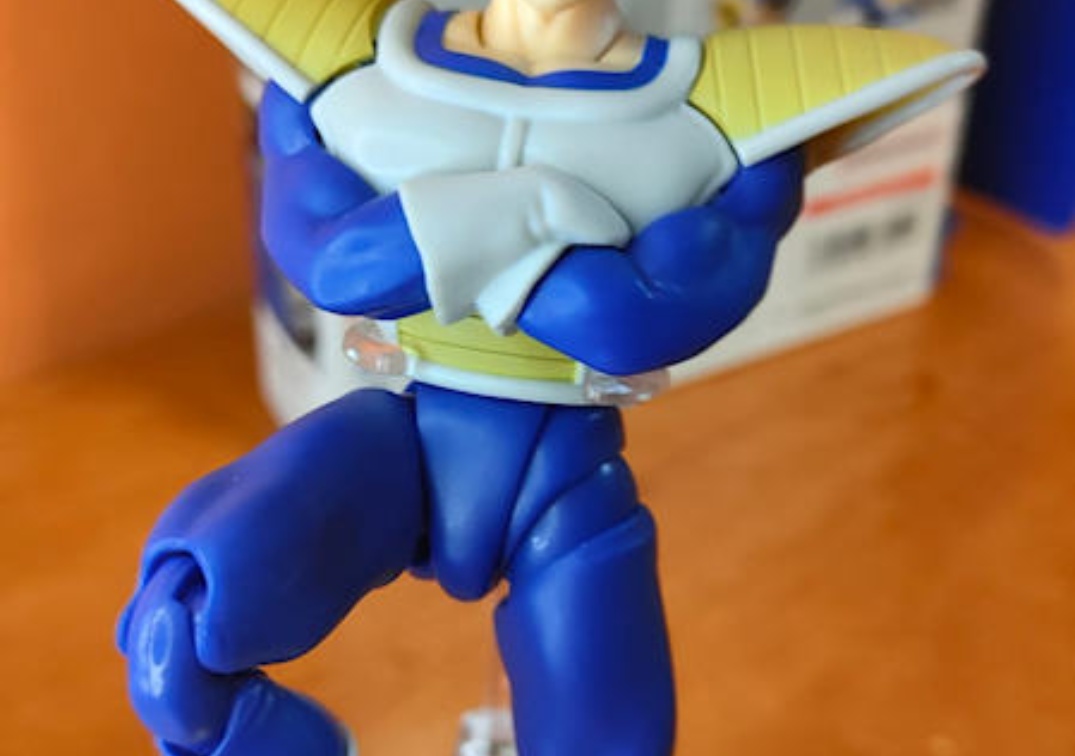 Foto posando del SHF de Vegeta ‘24000 Power level’ 2024