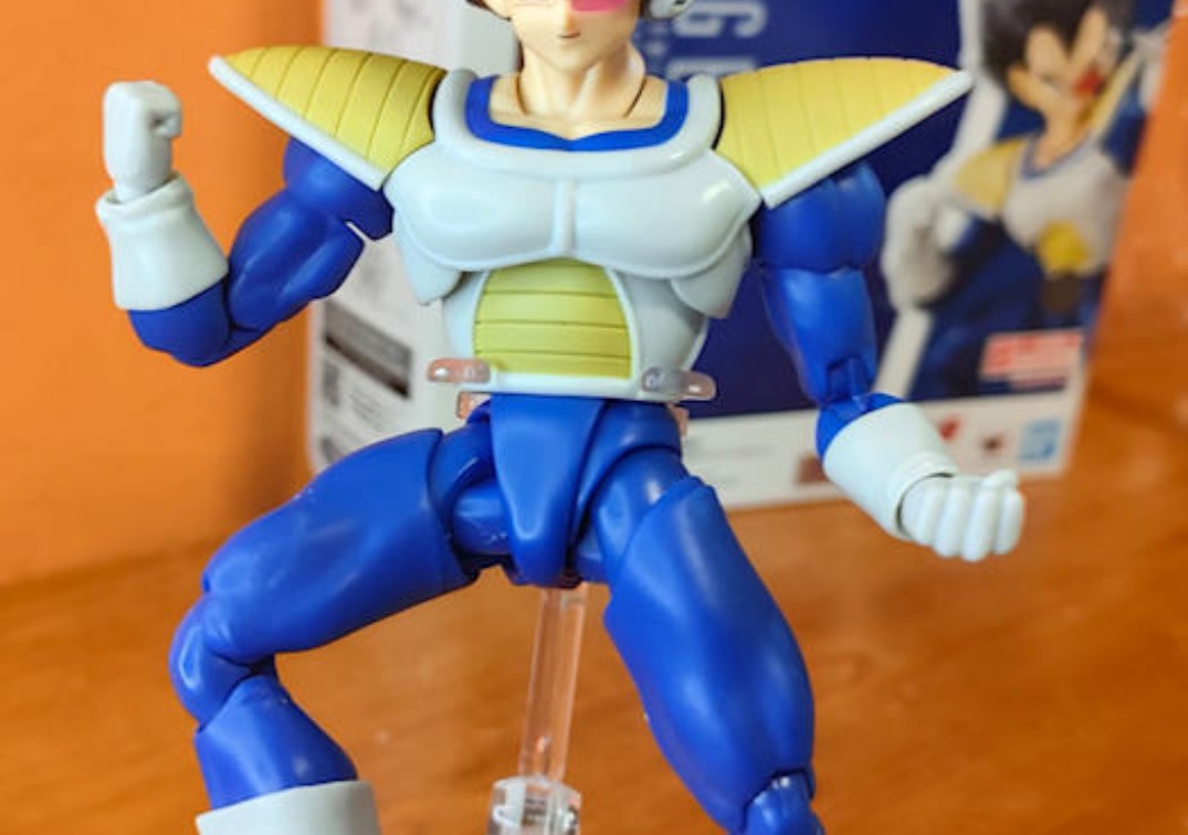 Foto posando del SHF de Vegeta ‘24000 Power level’ 2024