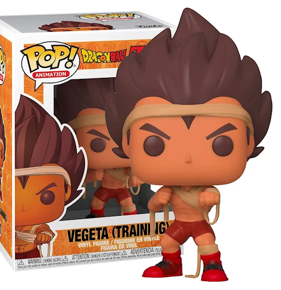 Vegeta (Training)